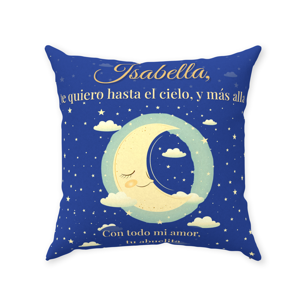 ThrowPillow-Suede-20x20-Zippered-20250611083506277